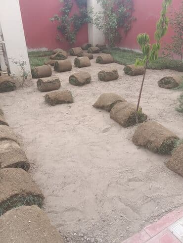 ağ dırnaq modelleri: Landşaft dizayin ummi abadliq qazon agaclar gul ciceklerlə bağlarin — 25