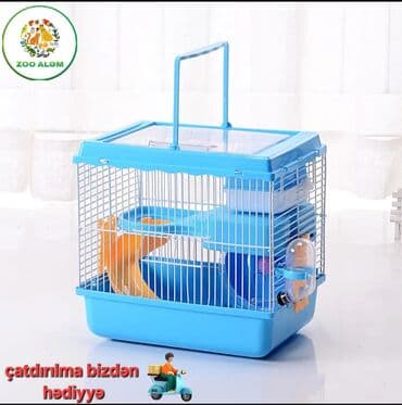 donuz balası: Xomyak və cunqarik qəfəsi Xomyak və cunqarikləriniz üçün rəngli və — 2