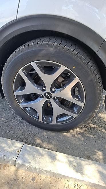 r17 amg disk: Təkər: Bütün fəsillər üçün (All Season) protektor naxışlı - — 1