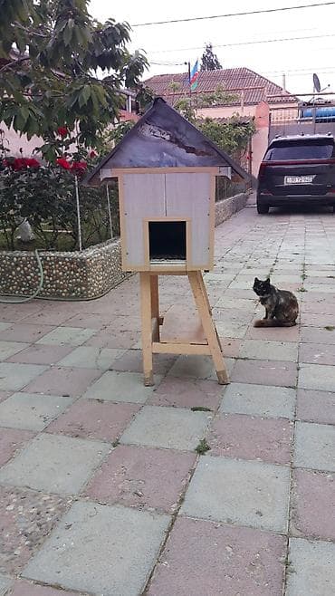 Yuvalar: Məhsul: Açıq havada istifadə üçün pişik evi Təsvir: Qapalı pişik evi — 6