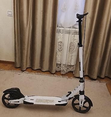 Şəhərdaxili hərəkət üçün böyük təkərli skuter - Mexaniki