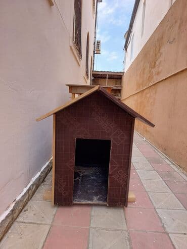 hamster yuvası: İt yuvası təzə yığılıb istifadə olunmayıb qara diktdən düzəlib — 1