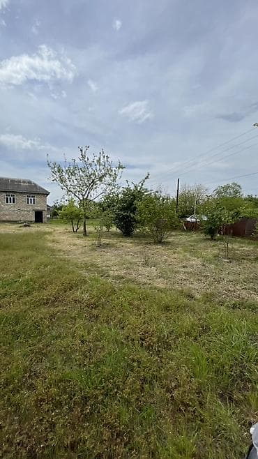 mehemmedi kendi: 4 otaqlı, 240 kv. m, Kredit yoxdur, Təmirsiz — 8