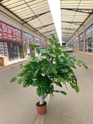 süni ağac: Daxili və xarici məkanlar üçün nəzərdə tutulmuş süni dekorativ ağac — 6