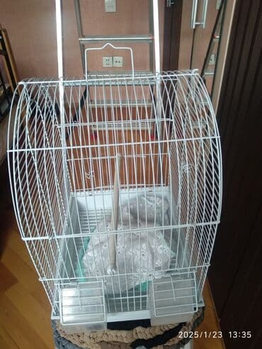 переноска для кошек баку: Quşlar üçün qəfəs — 1
