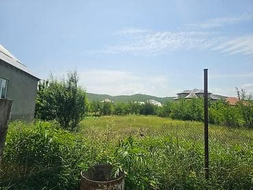 torpa: Tikinti — 3