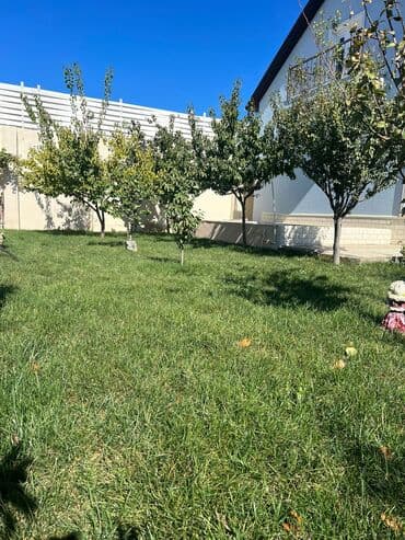 снять дачу у моря: Баку, Пос. Кюрдаханы, 190 м², 5 комнат, С бассейном, Комби, Газ, Электричество — 23