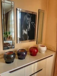 ev gulleri ve adlari: El arasında peyğənbər ılıncı adlanan esil adı sansevieria olan — 8