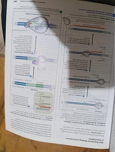Biologiya olimpiadalarına (RBO/BBO), SAT Biology, tibb və ya biologiya — 2