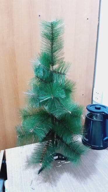 Şam ağacı 60 sm Hündürlük 15 manat Şaxta baba və qarpız