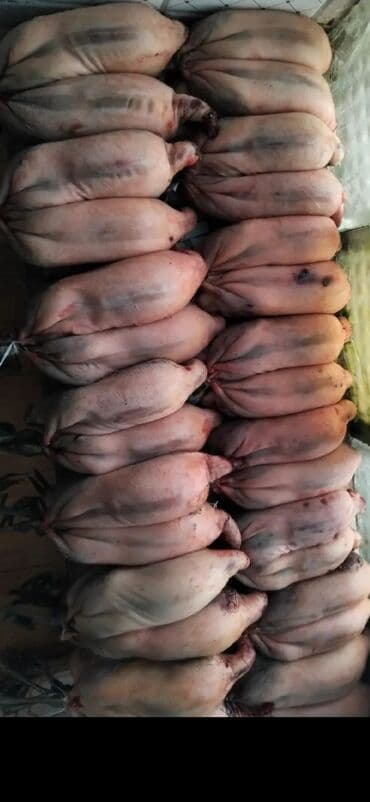 Bal: Te.izlenmis ov quslari Təsvir: - Tam təmizlənmiş, içalatı çıxarılmış — 1