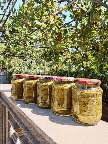 ilan yağı apteklerde: Ev üsulu, yumşaq, qatqısız, bağımızdan tam təmiz şəraitdə hazırlanmış — 2