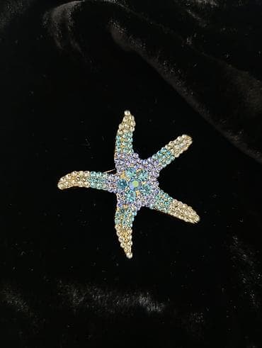 broskalar: Dəniz ulduzu formalı bross. - Material: metal əsas, üzəri çoxrəngli — 2