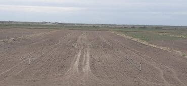 сдается 3 комнатная квартира: 40000 sot, Kənd təsərrüfatı, Mülkiyyətçi, Müqavilə — 4