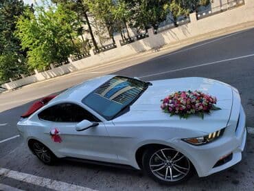 аренда авто ош матиз без залога: 2018-ci il Mustang. Toy, Nişan və digər tədbirlər üçün sifariş edə — 6