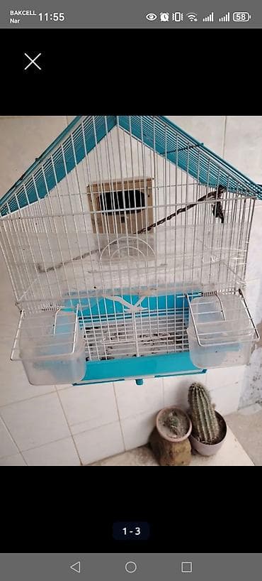 Quş qəfəsi – orta ölçülü, ev şəraitində saxlanılan xırda quşlar üçün