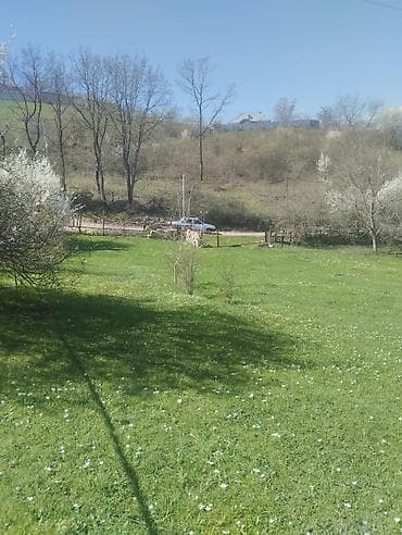 qubada satılan həyət evləri: Dağ mənzərəli torpaq sahəsi və köhnə tikili - Geniş yaşıllıqla — 4