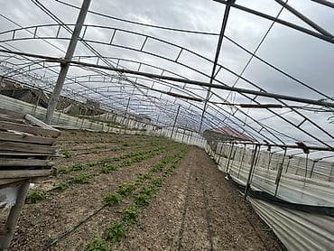 ev qap: İstixana kompleksi – dam örtüyü karkaslı, tam işlək əkin sahələri və — 8