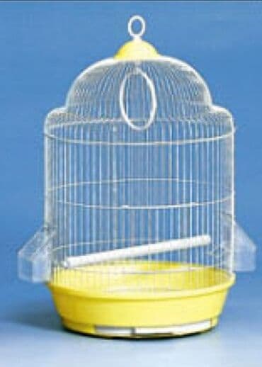 popuqay qefesi: Tutuquşu qəfəsi.(papuqay qefesi) Gözəl dizaynda hazırlanmış — 2