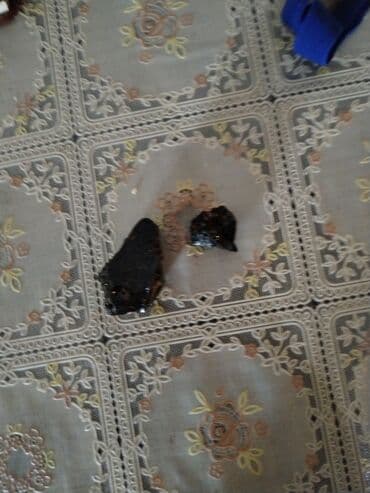 norm sement qiymeti 2019: Məhsul: Qara, şüşəvari parıltıya malik təbii daş parçaları (2 ədəd) — 1