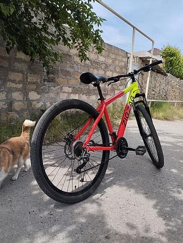 volta vsx: Salam 29 luq velosipet satiram ela veziyyetde problemsiz skoruslari — 7