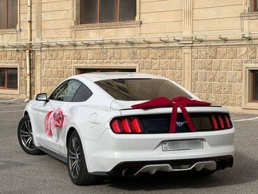 ломбард без изъятия авто бишкек: Ford mustang 2018 toy nişan və digər tədbirlər üçün sifariş edə — 2