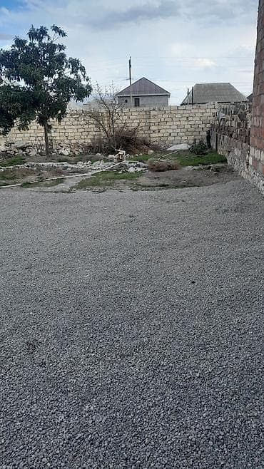 taxta evler: 2 sot, Tikinti, Mülkiyyətçi, Bələdiyyə — 1