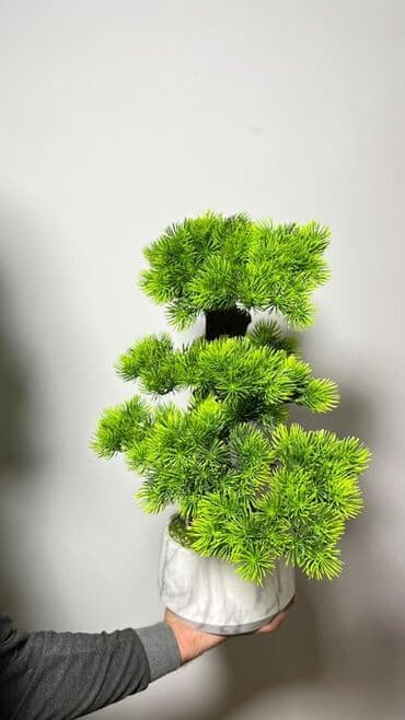 budda: Süni bonsai ağacı – dekorativ içməkan yaşıllaşdırma üçün - Realistik — 33