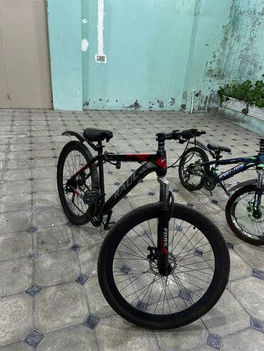 познание мира 3 класс мсо 7: Raleigh dağ velosipedi - Çərçivə: yüngül lehimli, “RALEIGH” loqolu — 2