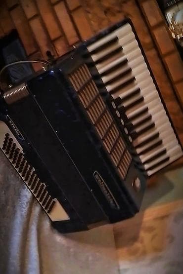 Fleytalar: Akustik Akkordeon — 1