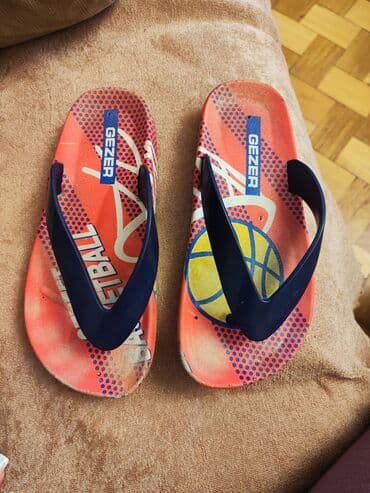 Gezer markalı, narıncı və tünd göy rənglərdə olan bu papuqlar