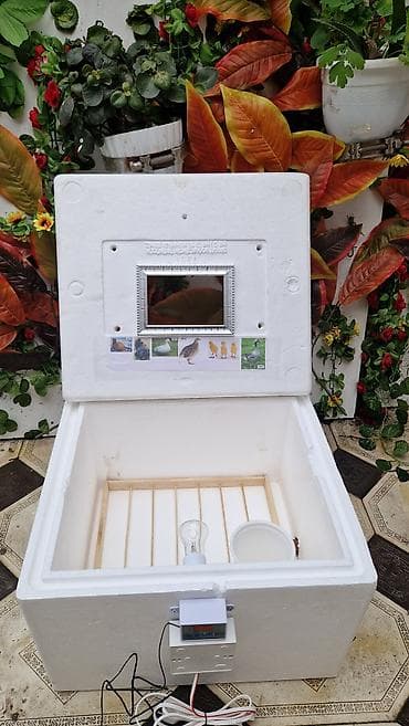 vagon ev: 50 yumurta, Azərbaycan, Bütün növ quşlaq üçün, Zəmanət ilə, Azərbaycan dilində təlimat — 6