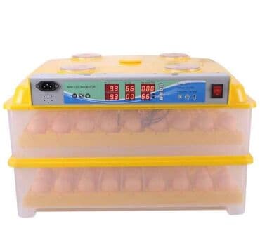 300 yumurta, Çin, Fabrik istehsalı, Tam avtomat, Bütün növ quşlaq üçün