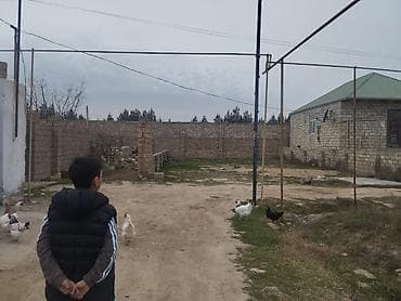 basavik satisi: 2 sot, Tikinti, Barter mümkündür, Bələdiyyə — 2
