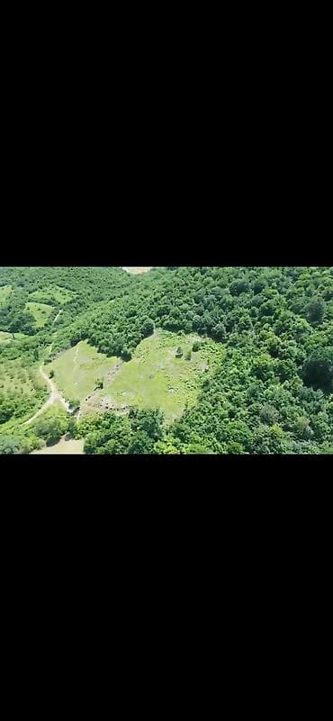 124 sot, Kupça (Çıxarış) — 5