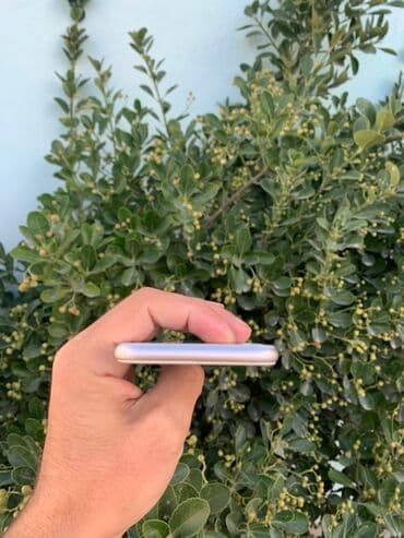 Техника для кухни: IPhone 8, 64 ГБ, Серебристый, Отпечаток пальца — 3