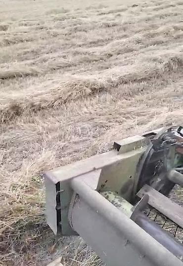 suda yaşayan heyvanlar: Təzə keyfiyyətli ot presi satılır Yeni biçilib, preslənib yağış — 3