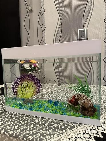 akvarium yumru: Akvaryum dəsti Akvaryum satılır.Daşlar,bəzəklər,balıq yemi və 3ədəd — 4