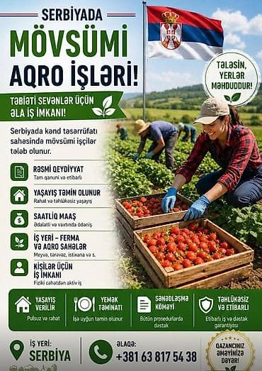ferma işi 2025: Fəhlə tələb olunur, Təcrübəsiz, 6/1, Saatlıq ödəniş — 1