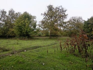 kreditle torpaq alqi satqisi: Tikinti — 3