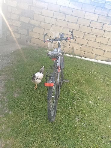 velosipet: Dağ/şossə tipli universal velosiped - 26" təkərlər, qabaq və arxa — 1
