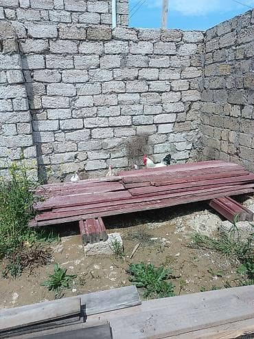 obshivka taxta: Taxtalar, uzunluğu - 4 m, Ödənişli çatdırılma — 1