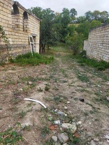 продается земельный участок: 24 sot, Kənd təsərrüfatı, Kupça (Çıxarış) — 11