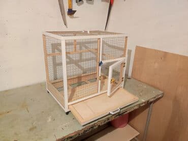 Şampunlar: Papuqay,dovşan,hamster,şinşila,bildirçin,cücə,xamyak,pişik,quş,tısbağa — 3