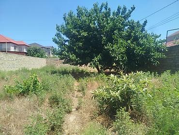 şəkidə torpaq: Torpaq sahəsi – Qurd Dərəsi - Ölçü: 4 sot - Məkan: Qurd Dərəsi — 3