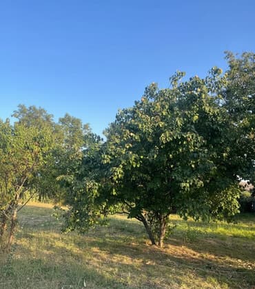 сайты недвижимости в баку: 10 соток, Для строительства, Собственник, Купчая — 1