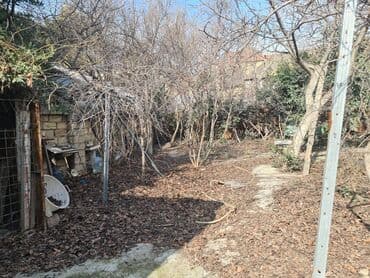 ist petrol tbilisi prospekti: 16 sot, Tikinti, Makler, Kupça (Çıxarış) — 15