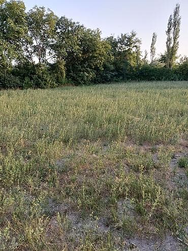 1 sot nece kvadrat metrdir: 80 sot, Biznes üçün, Mülkiyyətçi, Kupça (Çıxarış) — 9