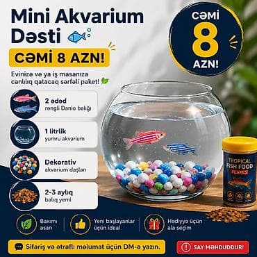 Yumru akvarium, Balıqlarla birlikdə, 1 l, Ünvandan götürmə, Pulsuz çatdırılma, Ödənişli çatdırılma