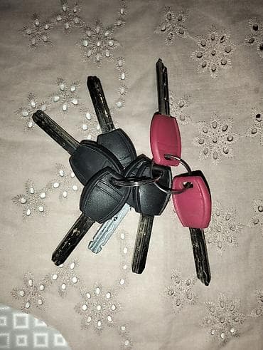 Tünd qəhvəyi rəngdə metal giriş qapısı. Qapı möhkəm konstruksiyaya və — 3